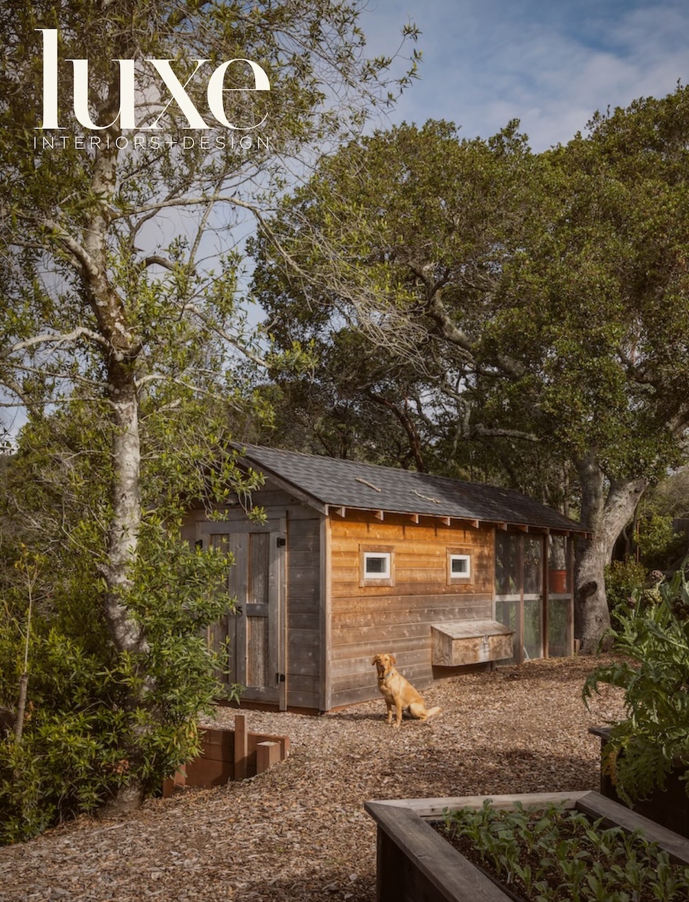 Corine Maggio Featured in Luxe Interiors